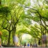 Central Park Scavenger Hunt